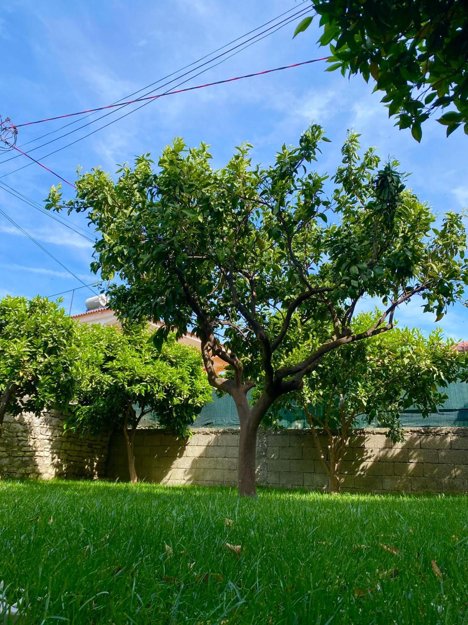 Villa Berat Extérieur photo
