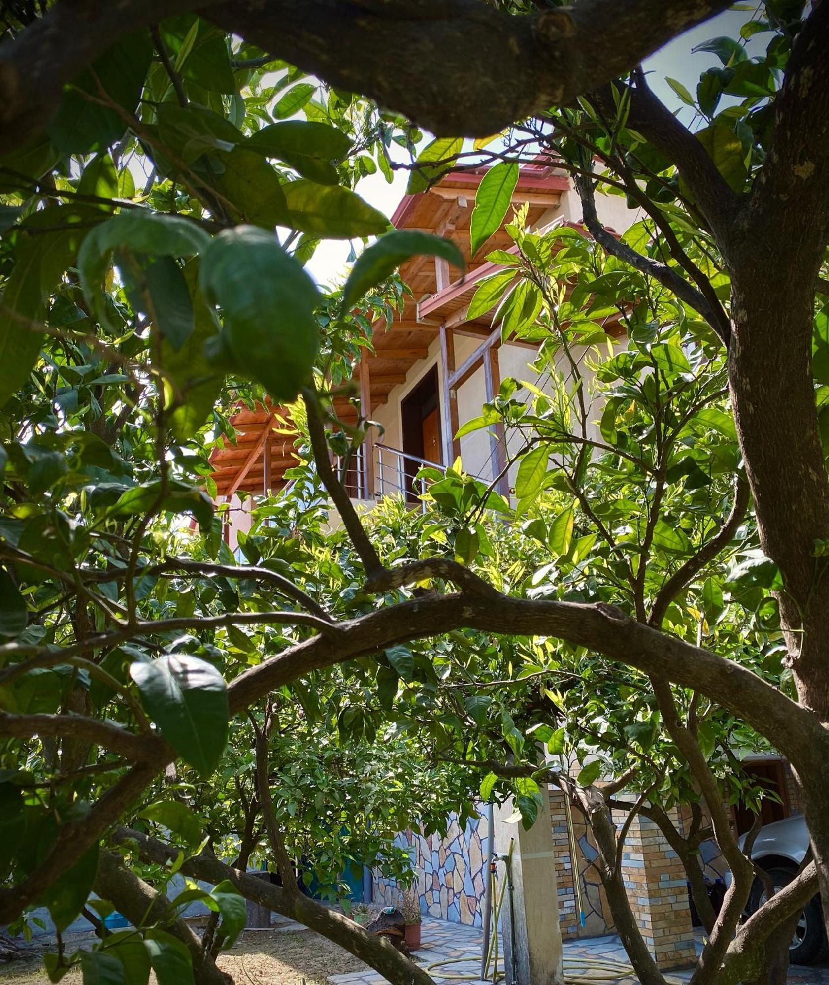 Villa Berat Extérieur photo